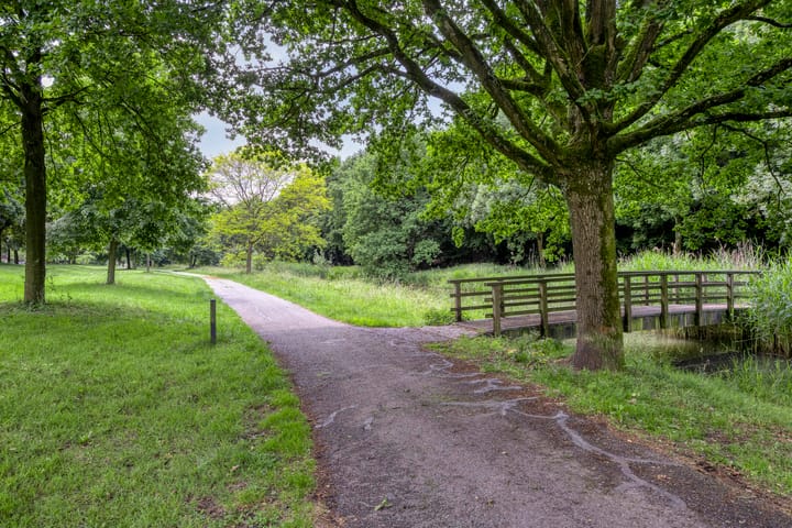 Foto 34 van Steenarend 20