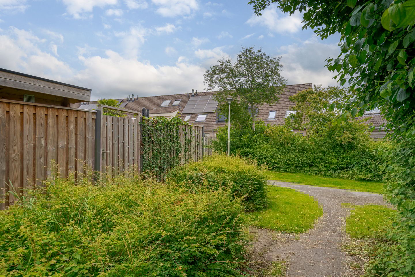 Foto 50 van Mackayware 98