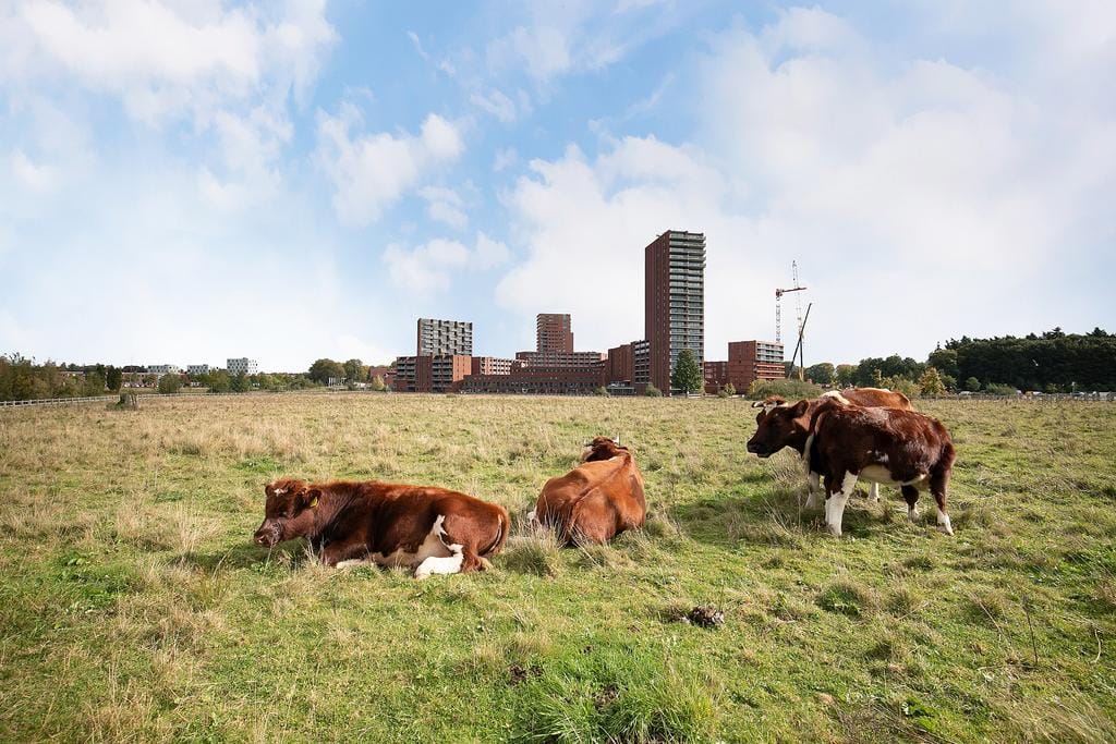 Foto 44 van Waterlinie 435