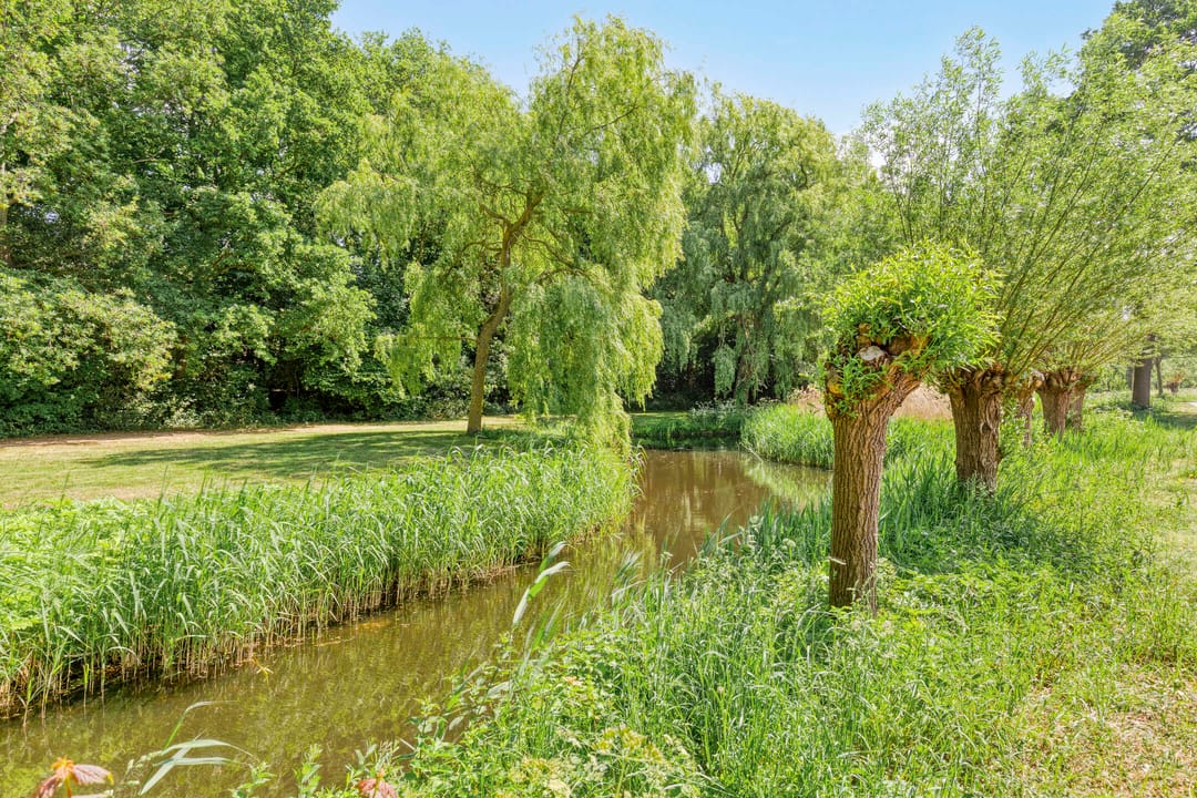 Foto 22 van Twickelstraat 25