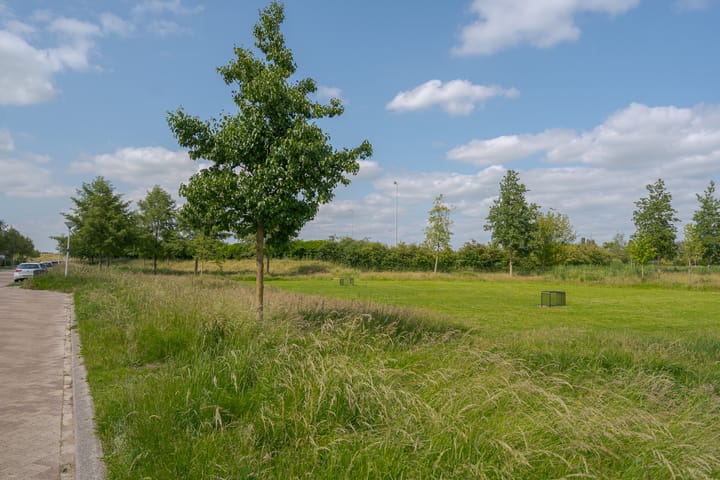 Photo 56 of Vrieswijkstraat 21