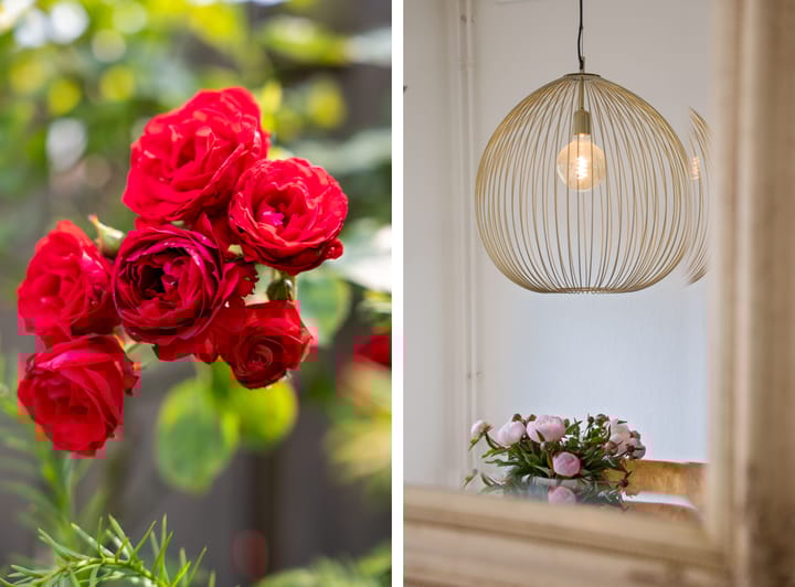 Foto 13 van Eekhoornstraat 36