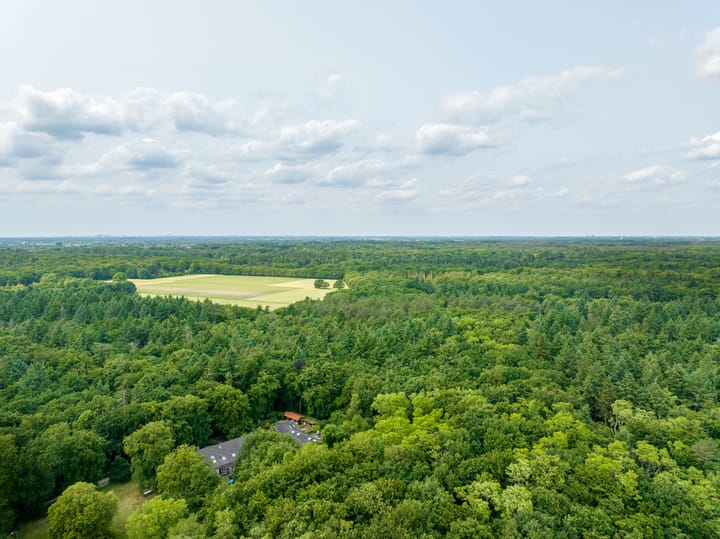 Foto 47 van Eekhoornstraat 36