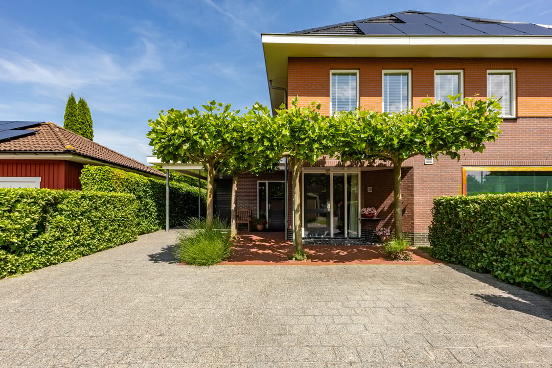 Foto 2 van Aalscholver 20