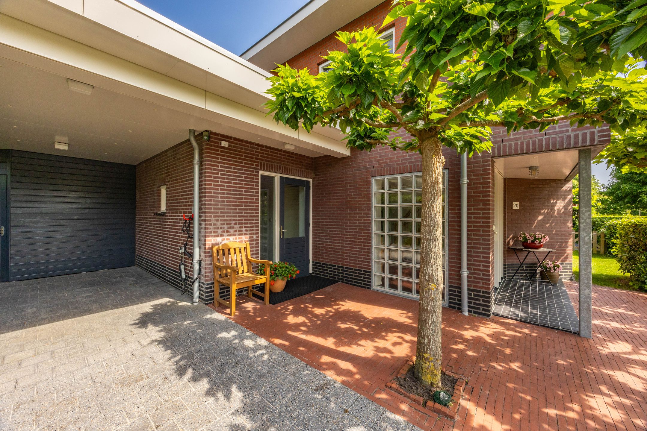 Foto 3 van Aalscholver 20