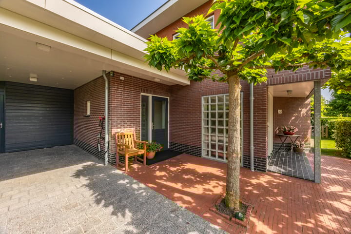 Photo 3 of Aalscholver 20