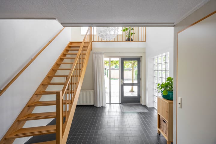 Photo 5 of Aalscholver 20