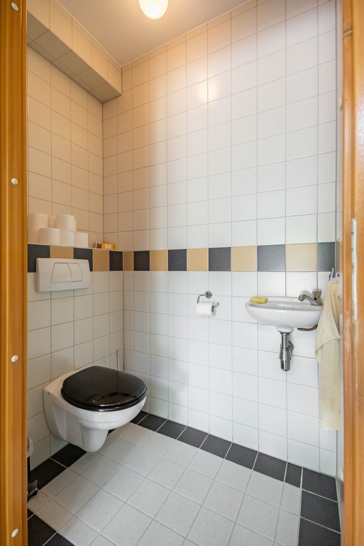 Photo 6 of Aalscholver 20