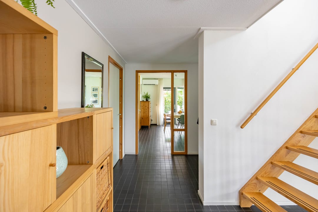 Foto 7 van Aalscholver 20