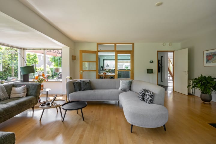 Photo 13 of Aalscholver 20