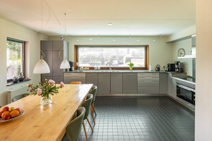 Photo 15 of Aalscholver 20