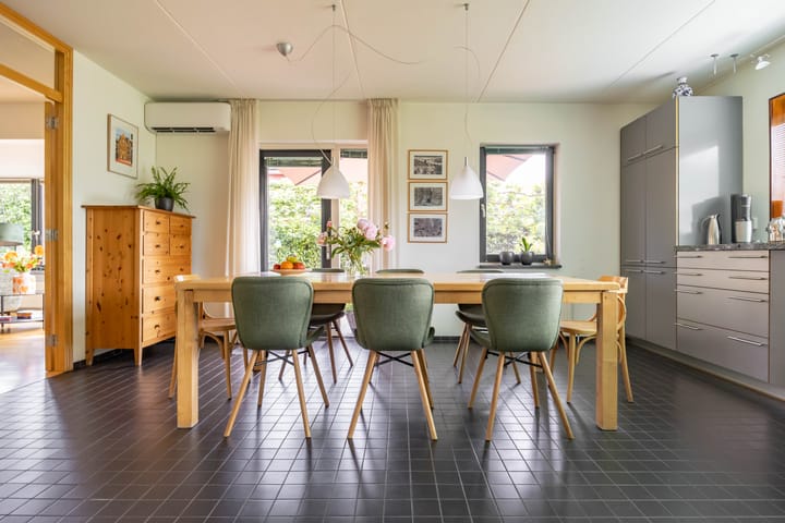 Photo 17 of Aalscholver 20