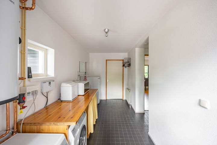 Photo 19 of Aalscholver 20