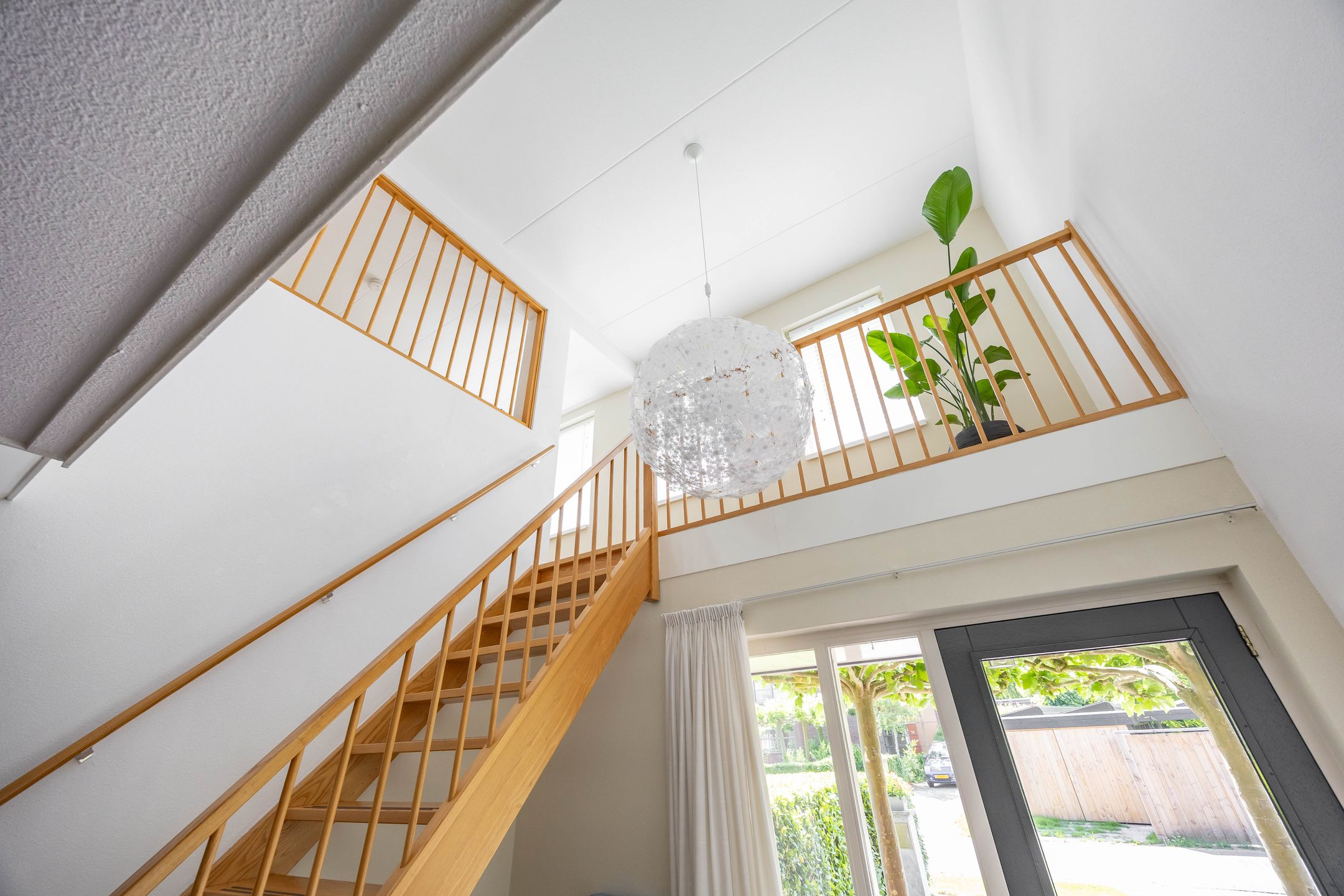 Foto 24 van Aalscholver 20