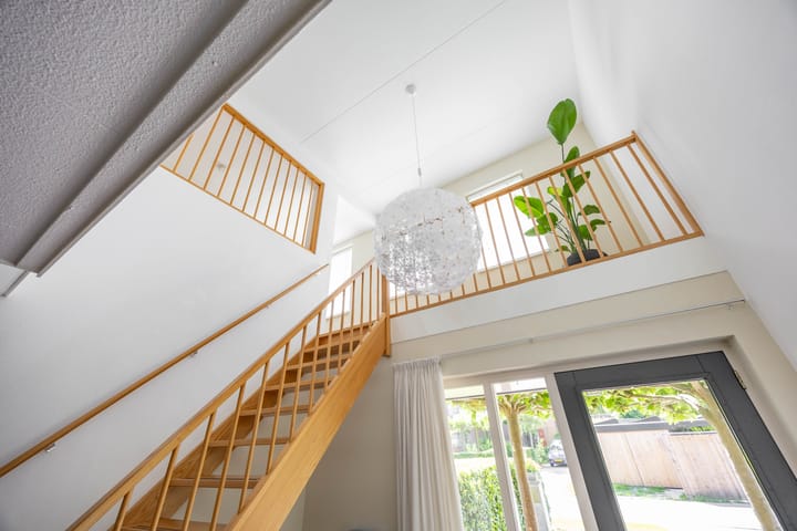 Photo 24 of Aalscholver 20