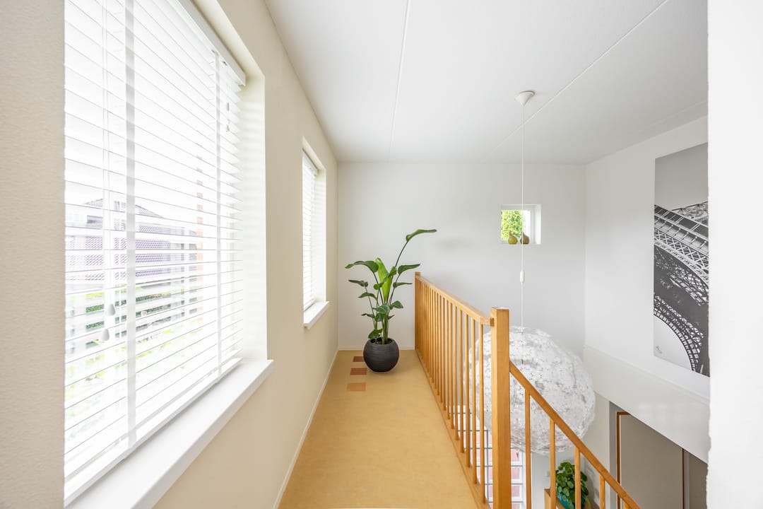 Foto 26 van Aalscholver 20