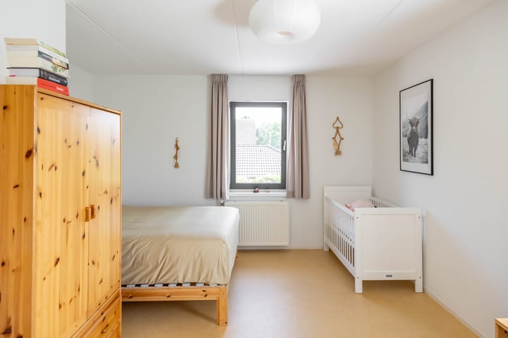 Photo 27 of Aalscholver 20