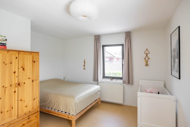 Photo 28 of Aalscholver 20