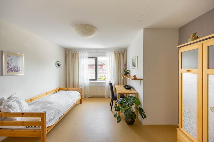 Photo 29 of Aalscholver 20