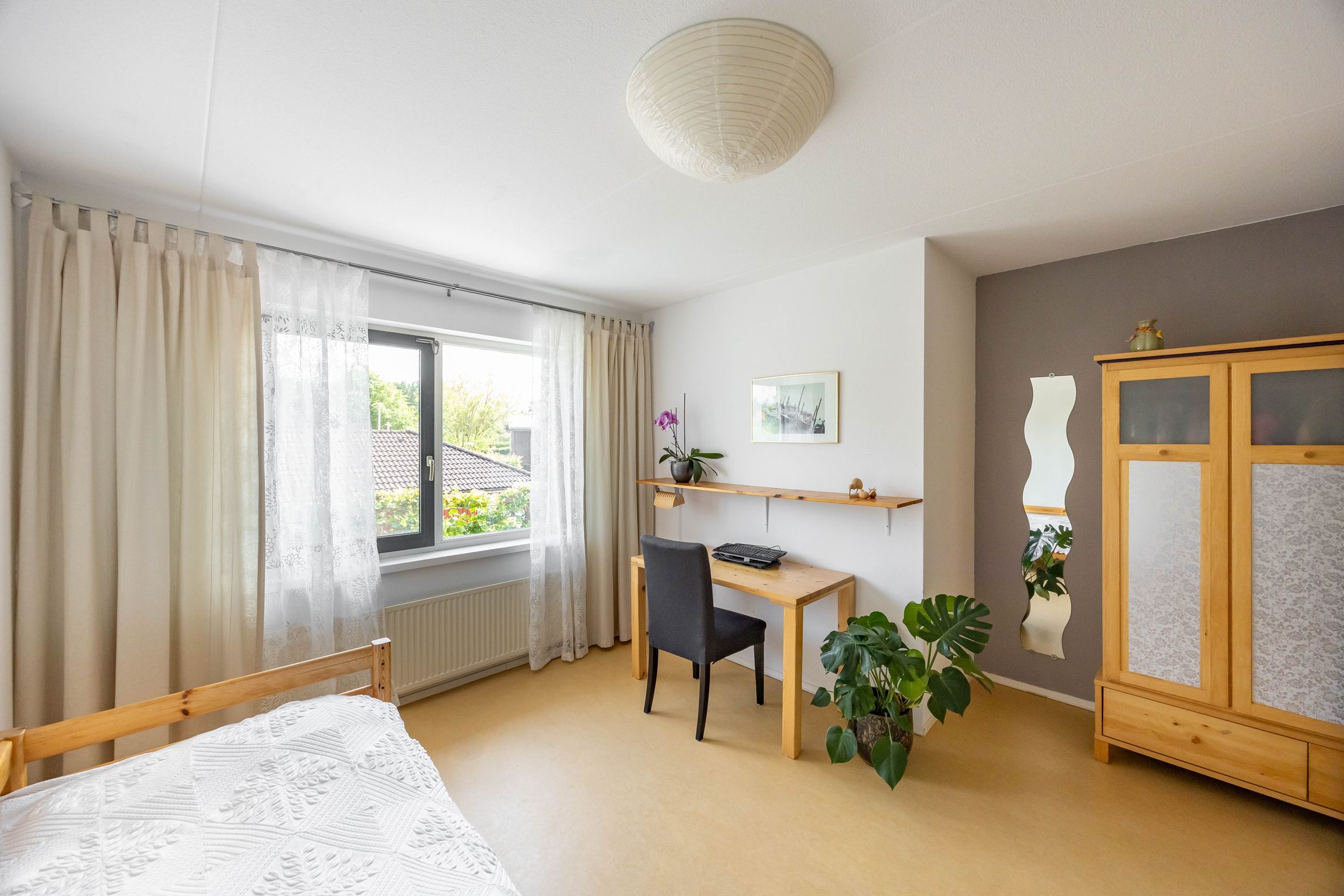 Foto 30 van Aalscholver 20