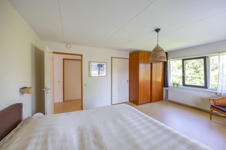 Photo 31 of Aalscholver 20