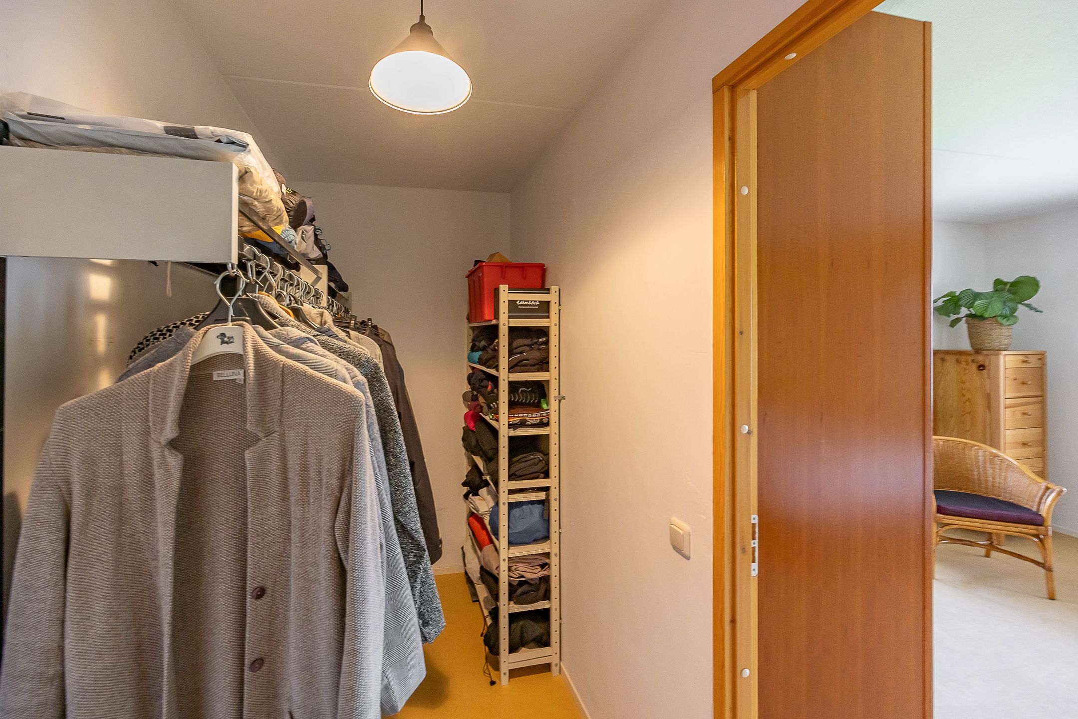 Foto 33 van Aalscholver 20