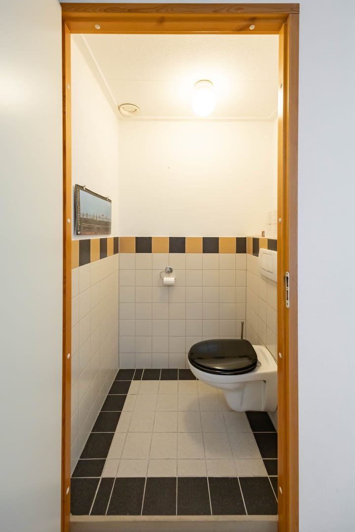 Photo 36 of Aalscholver 20