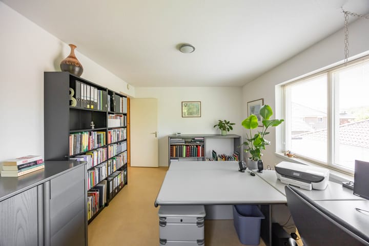 Photo 35 of Aalscholver 20