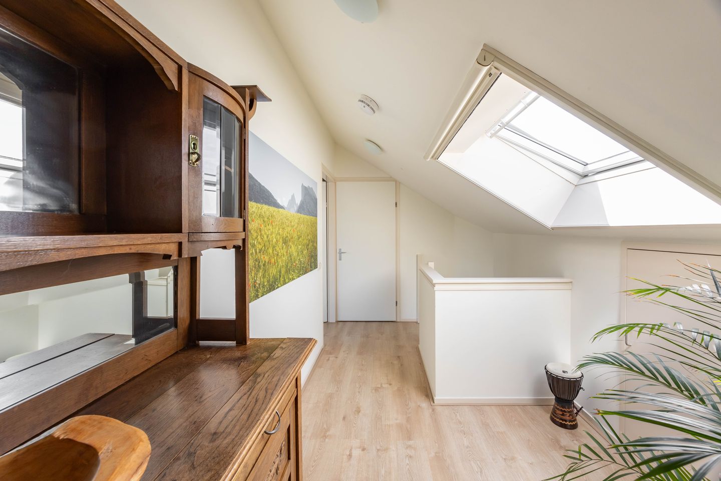 Foto 40 van Aalscholver 20