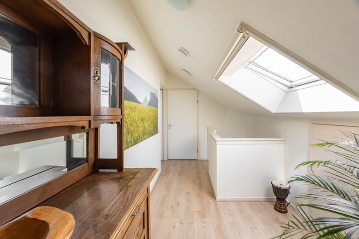 Photo 40 of Aalscholver 20