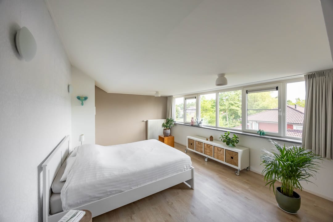 Foto 41 van Aalscholver 20