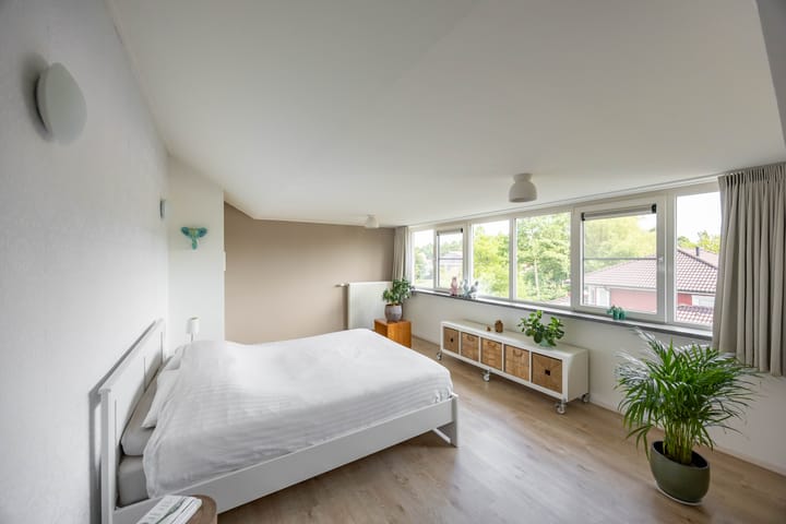 Photo 41 of Aalscholver 20