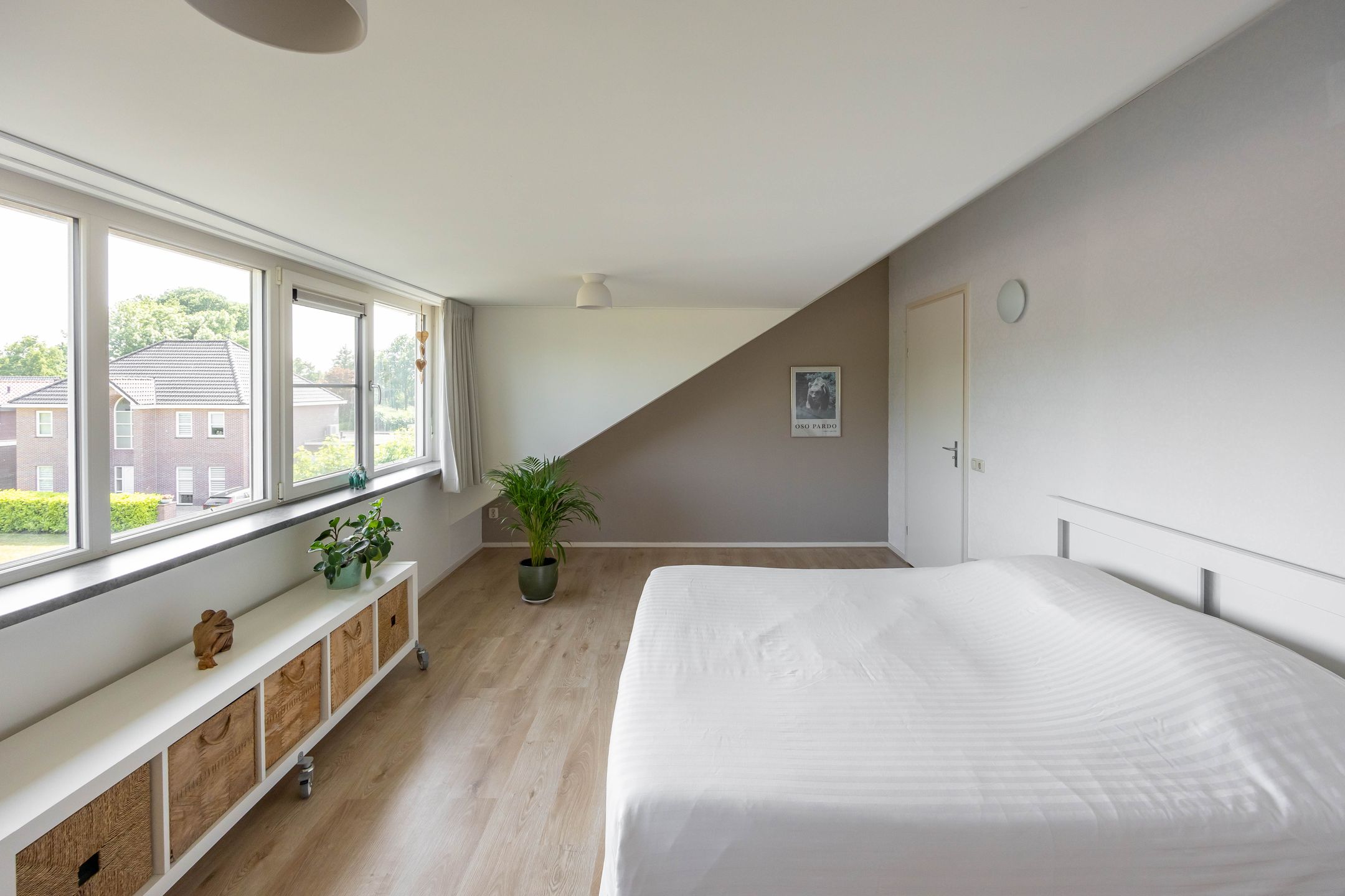 Foto 42 van Aalscholver 20