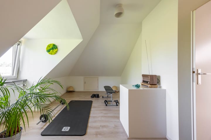 Photo 43 of Aalscholver 20