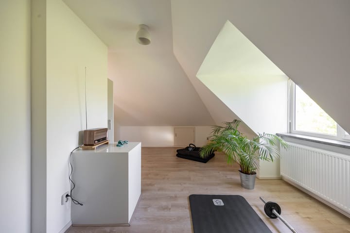 Photo 44 of Aalscholver 20