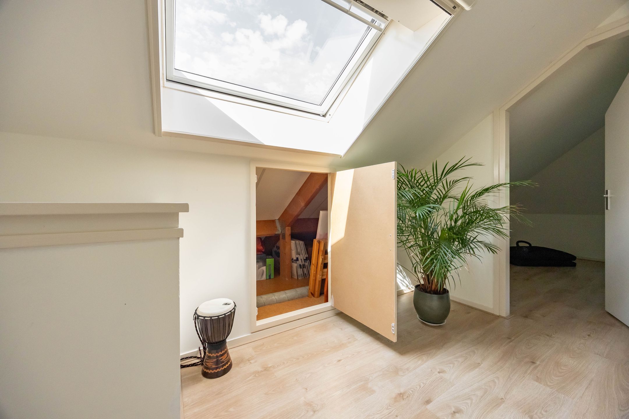 Foto 45 van Aalscholver 20