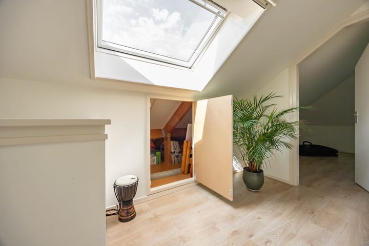 Photo 45 of Aalscholver 20