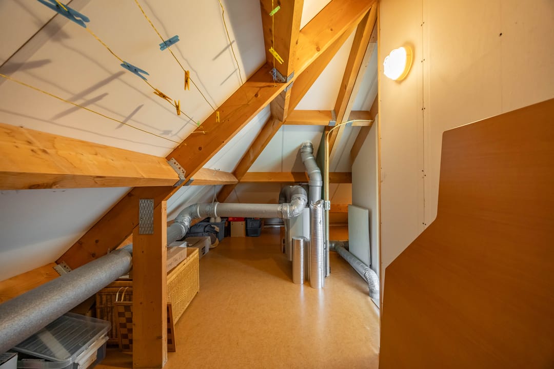 Foto 46 van Aalscholver 20