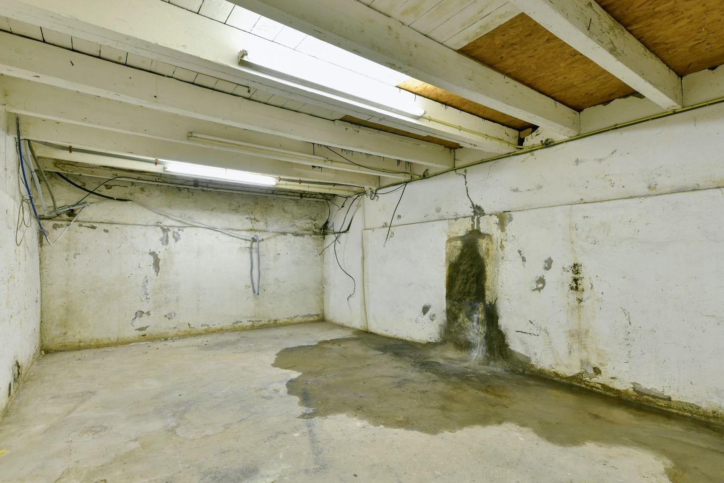 Foto 10 van Tolstraat 196-H