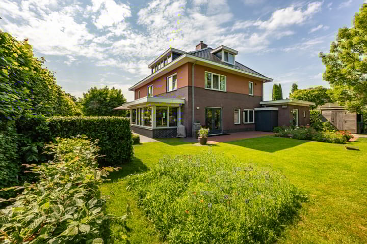 Photo 47 of Aalscholver 20