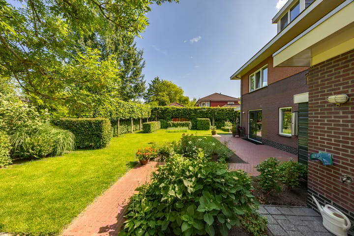 Photo 48 of Aalscholver 20