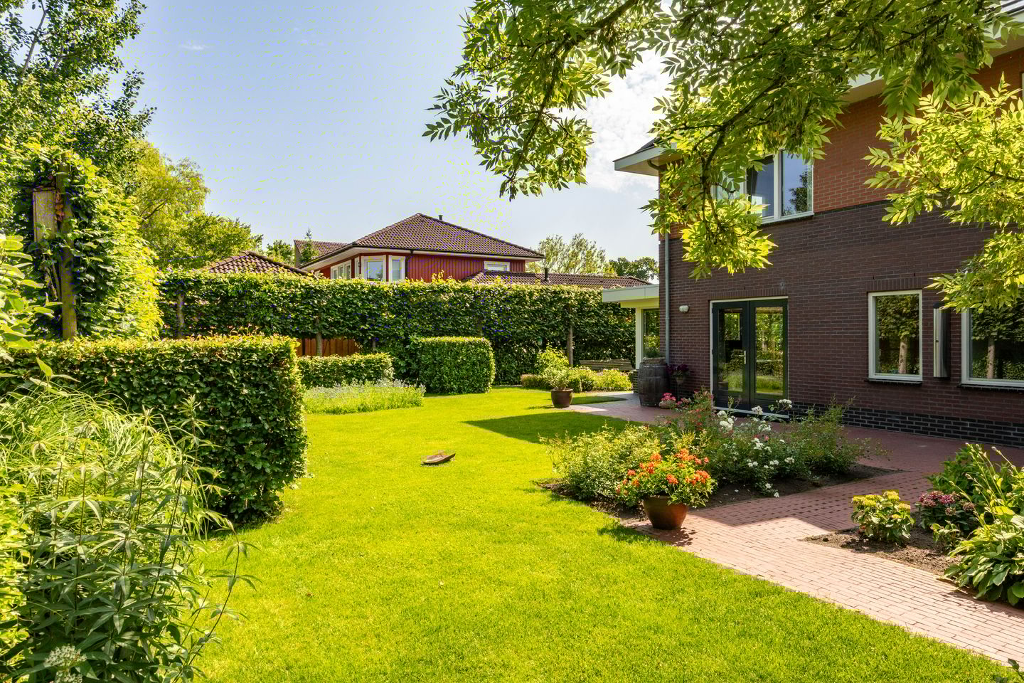 Foto 49 van Aalscholver 20