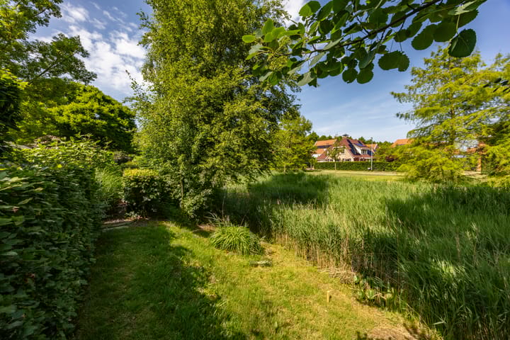 Photo 50 of Aalscholver 20