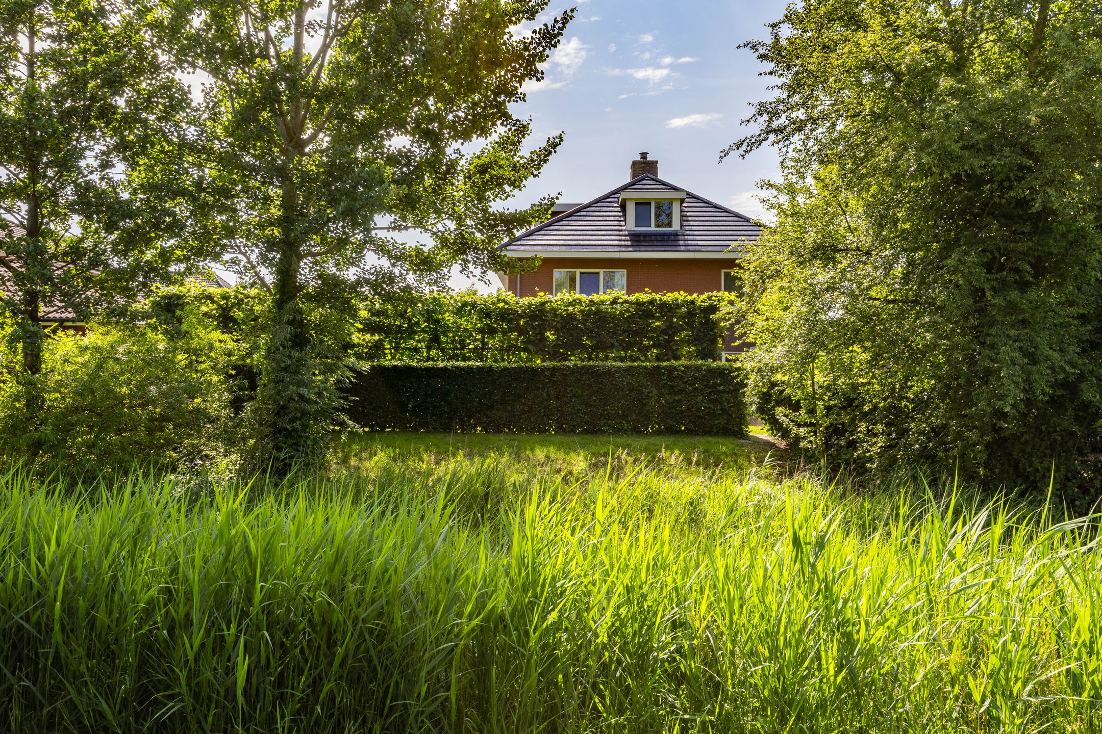 Foto 51 van Aalscholver 20