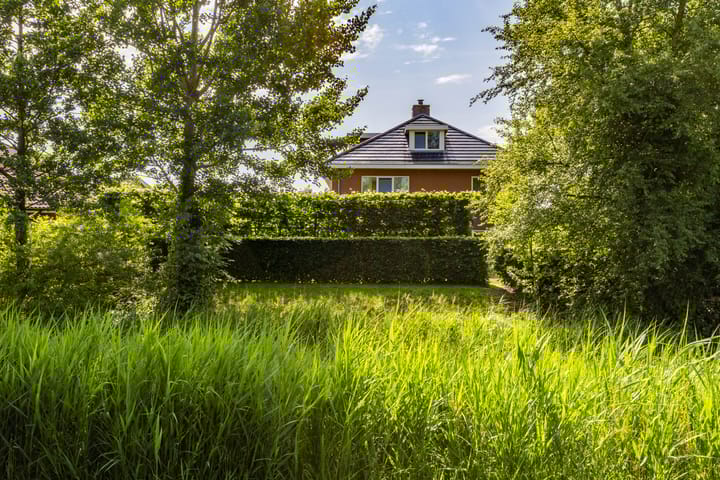 Photo 51 of Aalscholver 20