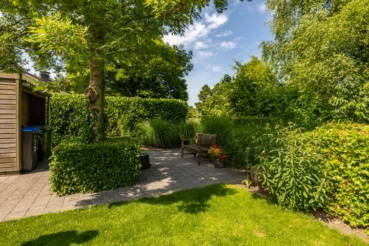 Photo 52 of Aalscholver 20