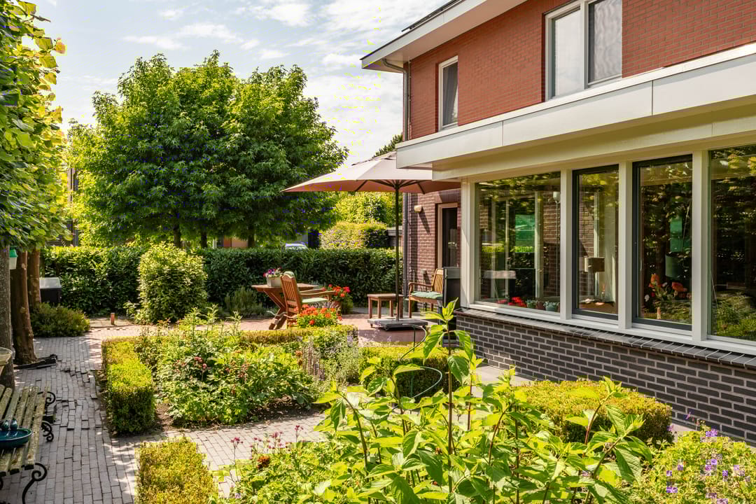 Foto 53 van Aalscholver 20