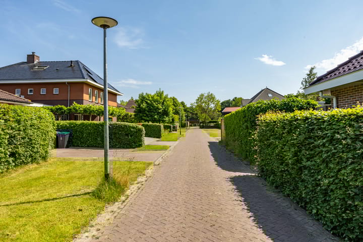 Photo 55 of Aalscholver 20