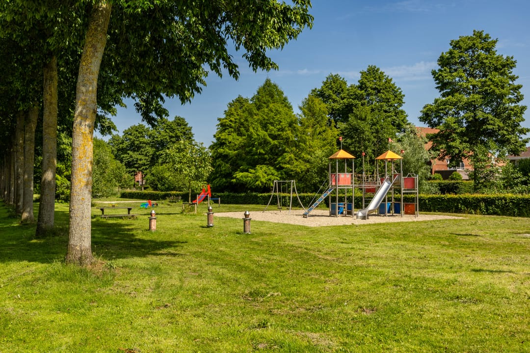 Foto 56 van Aalscholver 20