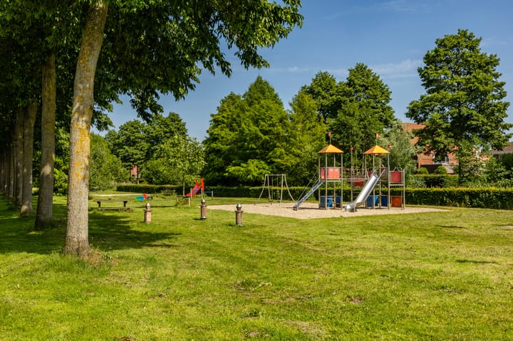 Photo 56 of Aalscholver 20